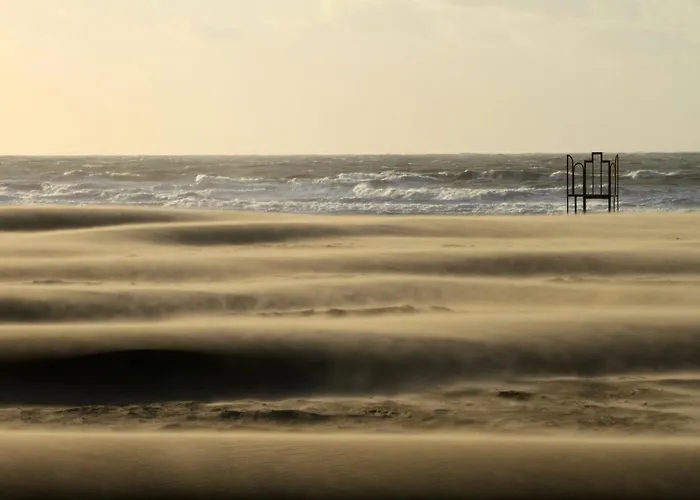 Les Paquerettes Ostend
