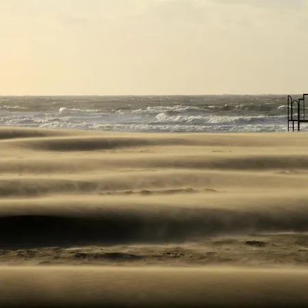 Les Paquerettes Oostende